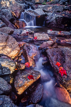 AM-LA-14&nbsp;&nbsp;&nbsp;&nbsp;&nbsp;&nbsp;&nbsp;&nbsp; Hidden Waterfall, Acadia National Park, Maine