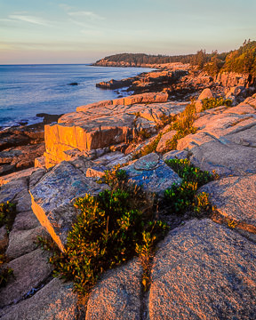 AM-LA-002&nbsp;&nbsp;&nbsp;&nbsp;&nbsp;&nbsp;&nbsp;&nbsp; First Light At The Coast, Acadia National Park, Maine