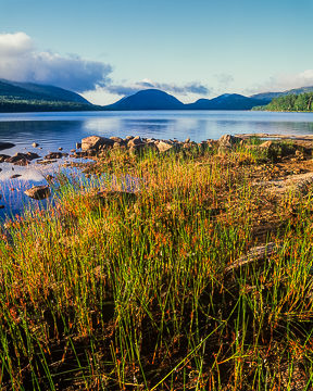AM-LA-008&nbsp;&nbsp;&nbsp;&nbsp;&nbsp;&nbsp;&nbsp;&nbsp; Grassy Shore, Eagle Lake, Acadia National Park, Maine