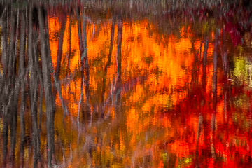PFM-06&nbsp;&nbsp;&nbsp;&nbsp;&nbsp;&nbsp;&nbsp;&nbsp; Fall Reflections, Near Quechee, Vermont