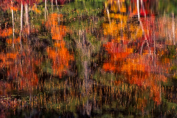 PFM-13&nbsp;&nbsp;&nbsp;&nbsp;&nbsp;&nbsp;&nbsp;&nbsp; Autumn Colors Reflecting on Somes Pond, Somesville, Maine