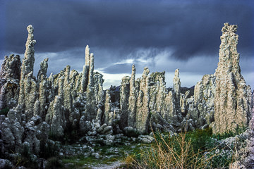 AM-LA-02&nbsp;&nbsp;&nbsp;&nbsp;&nbsp;&nbsp;&nbsp;&nbsp; Tufa Formation, Mono Lake Tufa State Natural Reserve, California