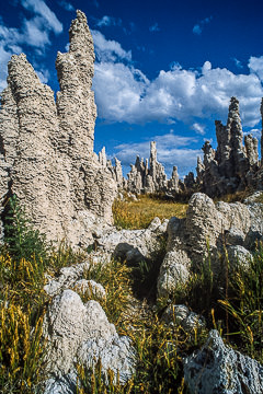 AM-LA-03&nbsp;&nbsp;&nbsp;&nbsp;&nbsp;&nbsp;&nbsp;&nbsp; Tufa Formations, Mono Lake Tufa State Natural Reserve, California