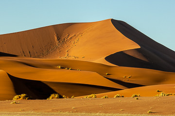 LE-AF-LA-100&nbsp;&nbsp;&nbsp;&nbsp;&nbsp;&nbsp;&nbsp;&nbsp; Early Morning At The Dunes, Namib-Naukluft National Park, Namib Desert, Namibia