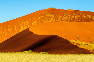 LE-AF-LA-133&nbsp;&nbsp;&nbsp;&nbsp;&nbsp;&nbsp;&nbsp;&nbsp; Blooming Dunes, Namib-Naukluft National Park, Namib Desert, Namibia