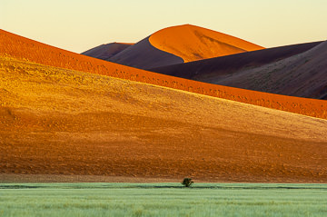 LE-AF-LA-149&nbsp;&nbsp;&nbsp;&nbsp;&nbsp;&nbsp;&nbsp;&nbsp; The Last Light At The Desert, Namib-Naukluft National Park, Namib Desert, Namibia