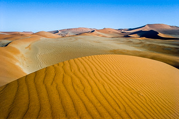 LE-AF-LA-16&nbsp;&nbsp;&nbsp;&nbsp;&nbsp;&nbsp;&nbsp;&nbsp; Edge Of Dune, Namib-Naukluft National Park, Namib Desert, Namibia