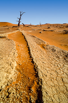 LE-AF-LA-81&nbsp;&nbsp;&nbsp;&nbsp;&nbsp;&nbsp;&nbsp;&nbsp; Eroded Pan, Namib-Naukluft National Park, Namib Desert, Namibia
