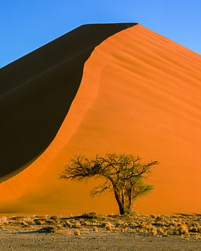 AF-LA-014 Popular Dune 45, Namib-Naukluft National Park, Namib Desert, Namibia