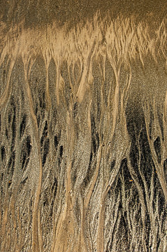 LE-SND-156&nbsp;&nbsp;&nbsp;&nbsp;&nbsp;&nbsp;&nbsp;&nbsp; Sand Design, Coast of Bahia, Brazil