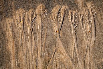 SND-18&nbsp;&nbsp;&nbsp;&nbsp;&nbsp;&nbsp;&nbsp;&nbsp; Sand Design