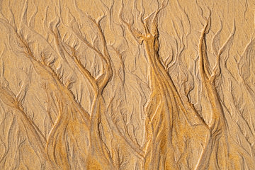 SND-228&nbsp;&nbsp;&nbsp;&nbsp;&nbsp;&nbsp;&nbsp;&nbsp; Sand Design