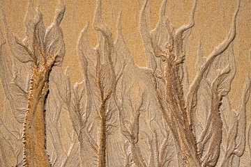 SND-229&nbsp;&nbsp;&nbsp;&nbsp;&nbsp;&nbsp;&nbsp;&nbsp; Sand Design