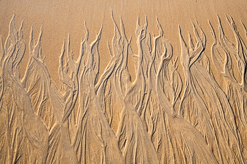 SND-30&nbsp;&nbsp;&nbsp;&nbsp;&nbsp;&nbsp;&nbsp;&nbsp; Sand Design