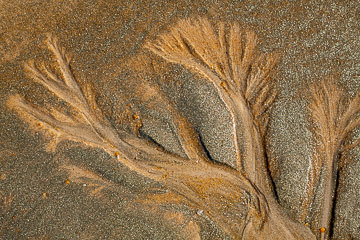 LE-SND-336&nbsp;&nbsp;&nbsp;&nbsp;&nbsp;&nbsp;&nbsp;&nbsp; Sand Design, Coast of Bahia, Brazil