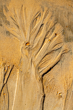 SND-337&nbsp;&nbsp;&nbsp;&nbsp;&nbsp;&nbsp;&nbsp;&nbsp; Sand Design