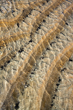 SND-381&nbsp;&nbsp;&nbsp;&nbsp;&nbsp;&nbsp;&nbsp;&nbsp; Sand Design