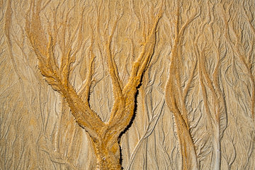 SND-388&nbsp;&nbsp;&nbsp;&nbsp;&nbsp;&nbsp;&nbsp;&nbsp; Sand Design