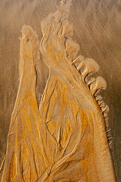 SND-456&nbsp;&nbsp;&nbsp;&nbsp;&nbsp;&nbsp;&nbsp;&nbsp; Sand Design