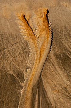 SND-515&nbsp;&nbsp;&nbsp;&nbsp;&nbsp;&nbsp;&nbsp;&nbsp; Sand Design