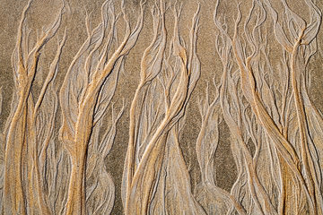 SND-616&nbsp;&nbsp;&nbsp;&nbsp;&nbsp;&nbsp;&nbsp;&nbsp; Sand Design