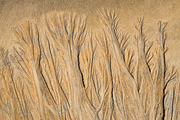 SND-628&nbsp;&nbsp;&nbsp;&nbsp;&nbsp;&nbsp;&nbsp;&nbsp; Sand Design