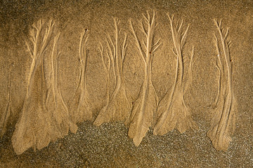 LE-SND-78&nbsp;&nbsp;&nbsp;&nbsp;&nbsp;&nbsp;&nbsp;&nbsp; Sand Design, Coast of Bahia, Brazil