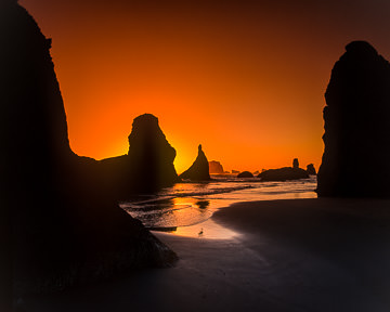 AM-LA-010&nbsp;&nbsp;&nbsp;&nbsp;&nbsp;&nbsp;&nbsp;&nbsp; Sunset Behind Sea Stacks, Bandon Beach, Oregon