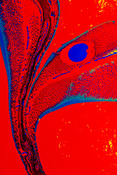 LE-MH-29&nbsp;&nbsp;&nbsp;&nbsp;&nbsp;&nbsp;&nbsp;&nbsp; Abstract Close-Up Of Merging Paints