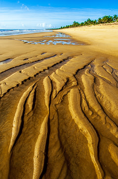 BR-LA-67 Designs In The Sand, Beach At Mogiquicaba, Bahia, Brazil