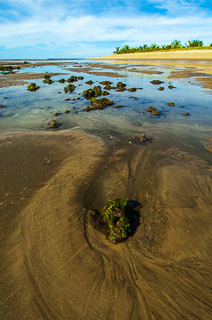 BR-LA-80 Beginning Of A Coral Reef, Beach At Mogiquicaba, Bahia, Brazil