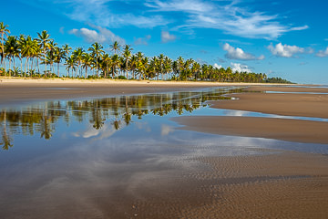 BR-LA-110 Beach At Rio Preto, Bahia, Brazil