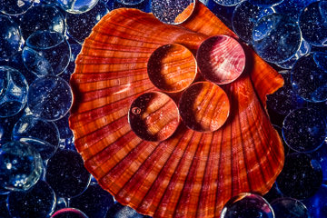 LE-RR-12&nbsp;&nbsp;&nbsp;&nbsp;&nbsp;&nbsp;&nbsp;&nbsp; Marble-Os