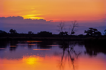 AF-LA-09&nbsp;&nbsp;&nbsp;&nbsp;&nbsp;&nbsp;&nbsp;&nbsp; Sun Rising Behind Clouds, Kruger National Park, South Africa