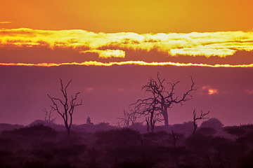 AF-LA-11&nbsp;&nbsp;&nbsp;&nbsp;&nbsp;&nbsp;&nbsp;&nbsp; Sun Rising Behind Clouds, Kruger National Park, South Africa