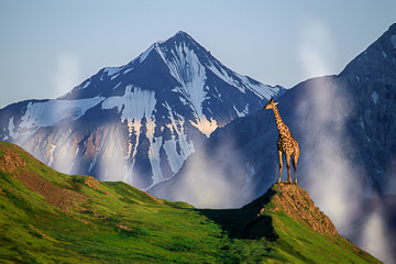 LE-SUR-04&nbsp;&nbsp;&nbsp;&nbsp;&nbsp;&nbsp;&nbsp;&nbsp; Awaiting A Long Winter