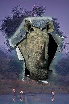 LE-SUR-15&nbsp;&nbsp;&nbsp;&nbsp;&nbsp;&nbsp;&nbsp;&nbsp; Breaking The Paradigm