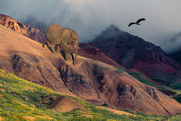 LE-SUR-20&nbsp;&nbsp;&nbsp;&nbsp;&nbsp;&nbsp;&nbsp;&nbsp; A Brief Encounter