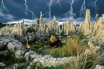 LE-SUR-21&nbsp;&nbsp;&nbsp;&nbsp;&nbsp;&nbsp;&nbsp;&nbsp; The Theater of Peace